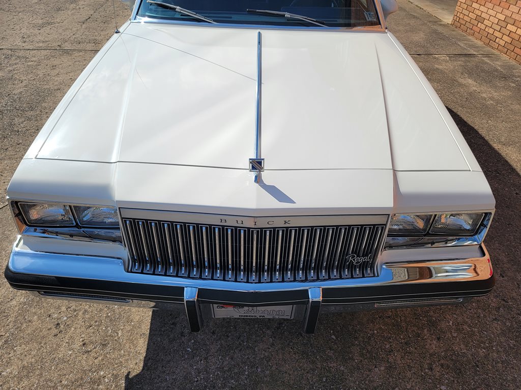 1983 Buick Regal - Photo 9
